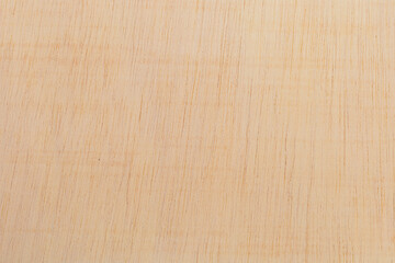 Naklejka premium Light rough textured cut surface of an African tree. Wood background or blank for design