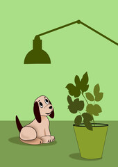 A little brown dog looking up at a lamp, and a big green plant in the foreground

