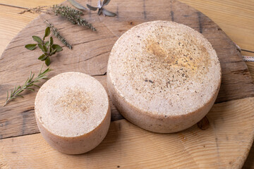 close up of maturated selection of cheese on old wood