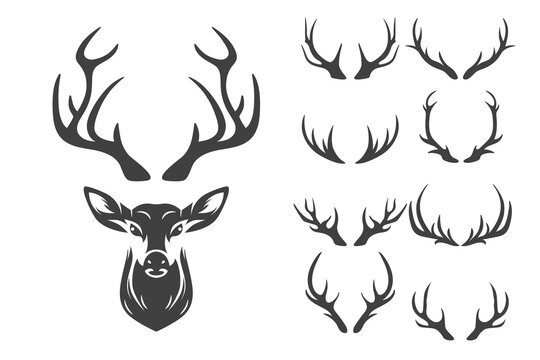 Vector Reindeer Horns, Antlers. Deer Horn Silhouettes. Hand Drawn Deers Horn, Antler Set. Animal Antler Collection. Design Elements of Deer. Wildlife Hunters, Hipster, Christmas and New Year concept