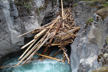 Log Jam, Jasper National Park, Alberta
