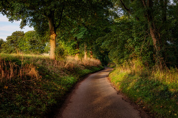 Fototapeta na wymiar Country lane near Louth, Lincolnshire, England