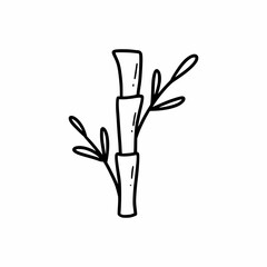 Bamboo branch in doodle style