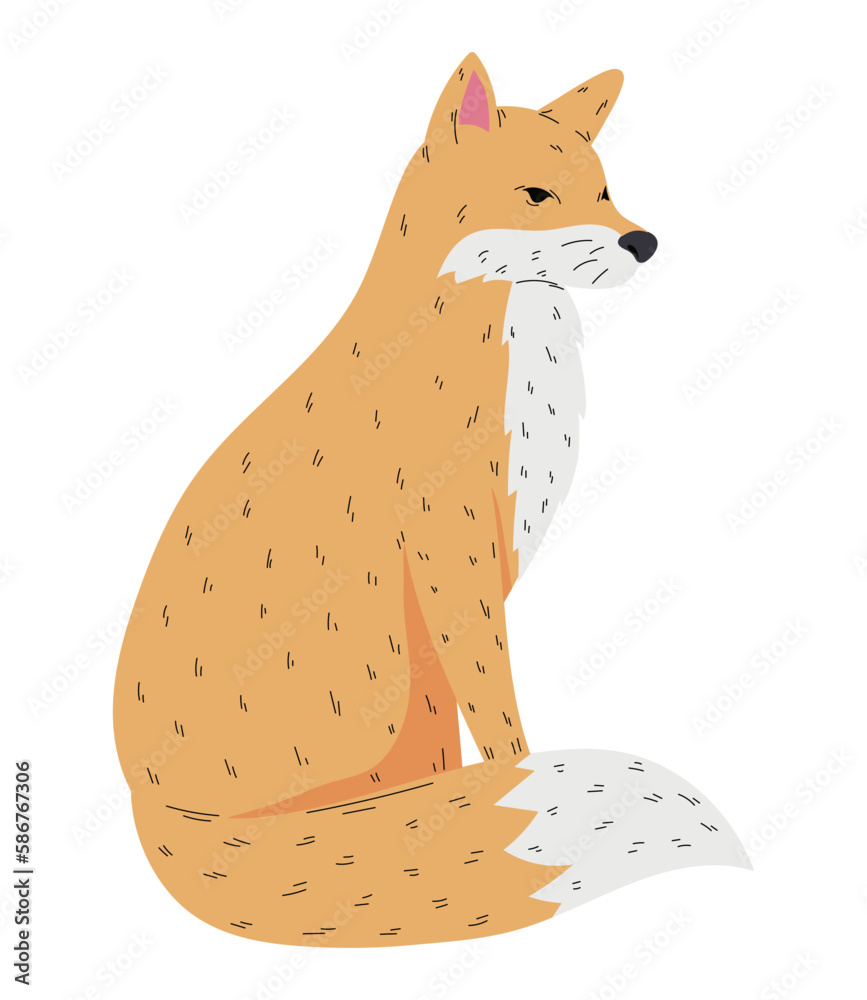 Poster Fluffy fox sitting