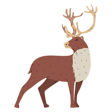 winter deer cute animal illustration