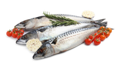 Raw mackerels, garlic, rosemary and tomatoes isolated on white