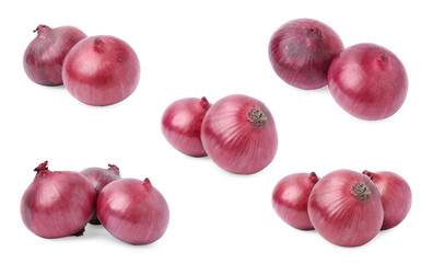 Collage with red onion bulbs on white background, different sides