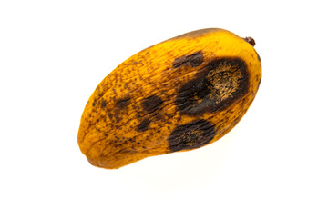 top view rotten mango with worms on a white background