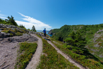 Obraz premium A senior male stops on a hiking trail to take in the view of mountains, coastline, and blue ocean. The man is wearing shorts and a blue T-shirt. The worn trail leads up a hill with trees and shrubs. 