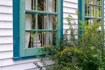 Fototapeta na wymiar The exterior of a vintage wooden white house with two glass windows. The wooden casement windows have nine panes of glass and green decorative trim. There's a shrub in front of the house. 
