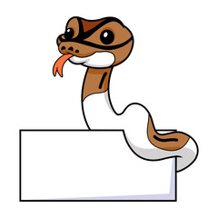 Obraz premium Cute pied ball python cartoon with blank sign
