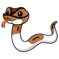 Fototapeta premium Cute pied ball python cartoon