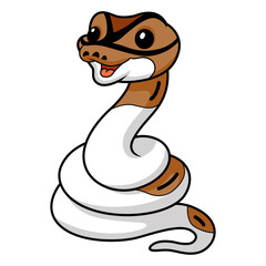 Cute pied ball python cartoon