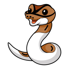 Cute pied ball python cartoon