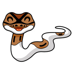 Cute pied ball python cartoon