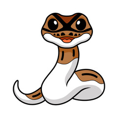 Cute pied ball python cartoon