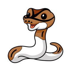 Cute pied ball python cartoon