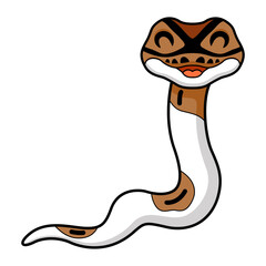 Cute pied ball python cartoon