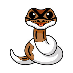 Cute pied ball python cartoon