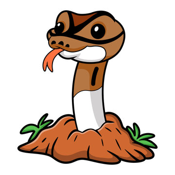 Cute pied ball python cartoon out from hole