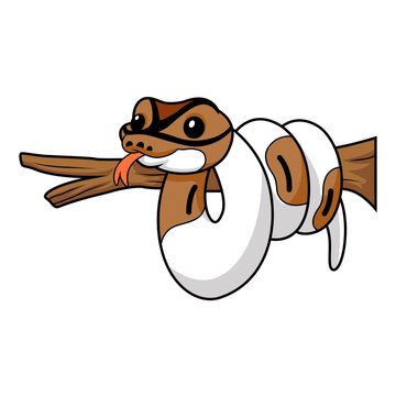 Cute pied ball python cartoon on tree branch