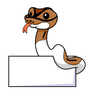 Cute pied ball python cartoon with blank sign