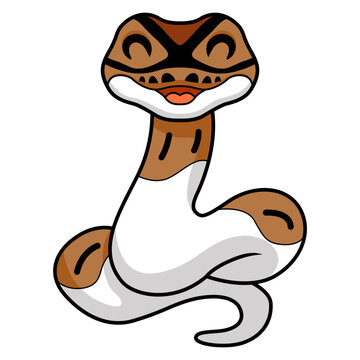 Cute pied ball python cartoon