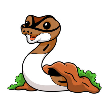 Cute pied ball python cartoon out from hole