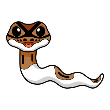 Cute pied ball python cartoon