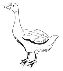 goose animal monochrome style