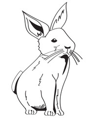 rabbit animal monochrome style