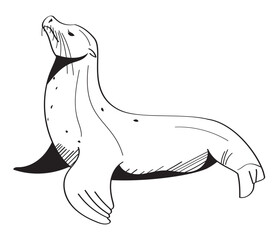 seal animal monochrome style