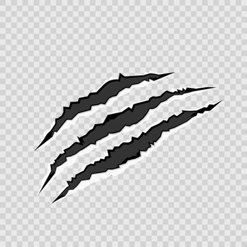 Realistic animal scratches vector. Illustration of rips, sharp claws of wild animals with transparent background