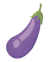 fresh eggplant vegetable