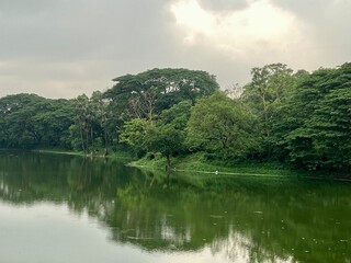 Beautiful lake and forest