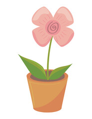 houseplant with pink flower