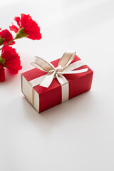 白背景に母の日のプレゼントと赤いカーネーションの写真素材