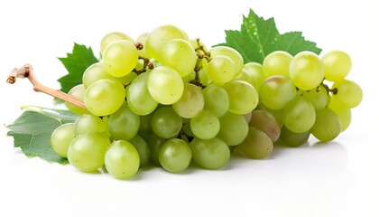 Branch of green grapes isolated on white background. Generative ai