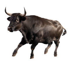  an isolated  Black Bull cow running frontal view strong and muscular, farm-themed photorealistic illustration on a transparent background cu,tout in PNG. Generative AI