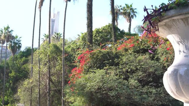 trial garden in algiers with a view of the martire monument Makam EL Chahid