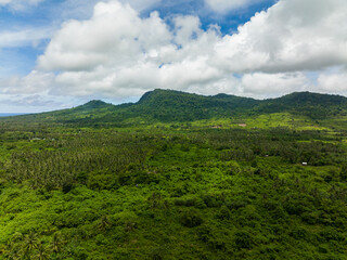 Fototapeta na wymiar Aerial view of island is covered with tropical forest and jungle. Balabac, Palawan. Philippines.