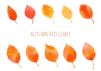 水彩画の紅葉、落ち葉のベクター素材