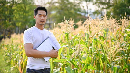 An Asian male farmer inspecting the quality of corn and checking for pests before harvest.