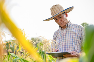 An elderly Asian male farmer writing something on a clipboard paper, working in his cornfield