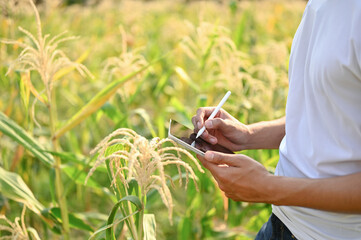 an Asian-aged farmer or farm owner using his digital tablet for his smart farm system