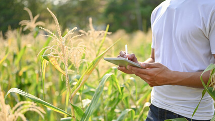 Cropped image of an Asian-aged farmer or farm owner using his digital tablet