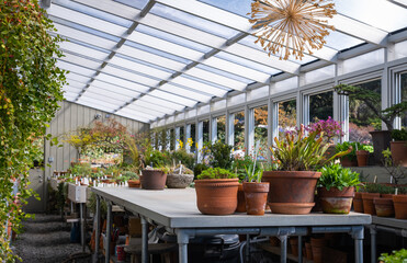 greenhouse with flowers and plants