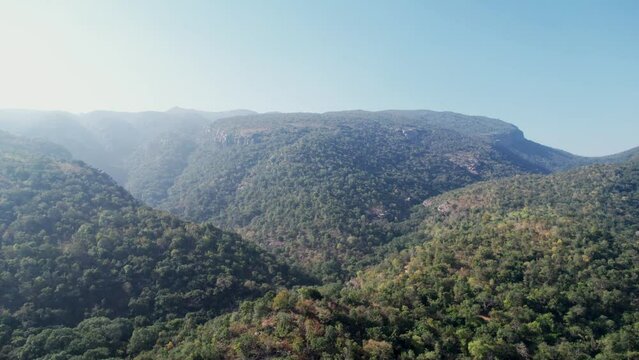 Den forest located in the border of Tirupati.