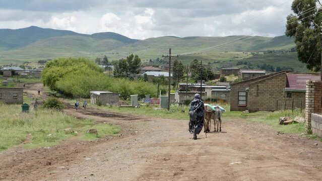 Donkeys haul goods for Bantu locals in rural Lesotho town, Semonkong