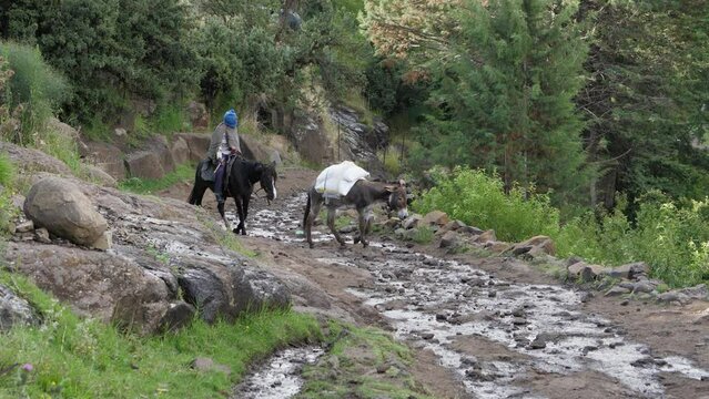 Lesotho man in balaclava cap on horseback takes loaded mule home